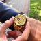 Forsining 8130 All Gold Automatic