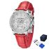 Pagani Design PD-1730 Silver-Red