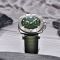 Pagani Design PD-1767 Silver-Green