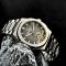 Pagani Design PD-YS025 Silver-Brown