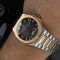 Pagani Design PD-YS025 Silver-Gold-Brown