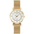 Skmei 1330SGD Gold