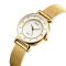 Skmei 1330SGD Gold