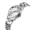 Skmei 1620SISI Silver-Silver