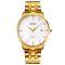 Skmei 1801SGD Gold Stainless Steel
