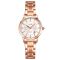 Skmei 1819RGSI Rose Gold-Silver