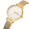 Skmei 1874GD Gold