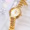 Skmei 1979GD Gold