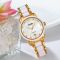 Skmei 2175GD Gold
