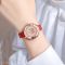 Skmei 2268LRD Red