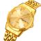 Skmei 2291GDGD Gold-Gold