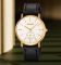 Skmei 2308GD Gold