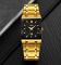 Skmei 9263GDBK Gold-Black