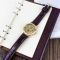 Winner 8005 Brown-Gold